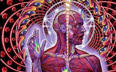 La glándula pineal, cada día más interesante