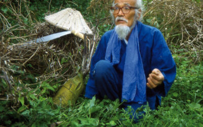 Regalo a nuevos suscriptores:  "Senda Natural" de Masanobu Fukuoka