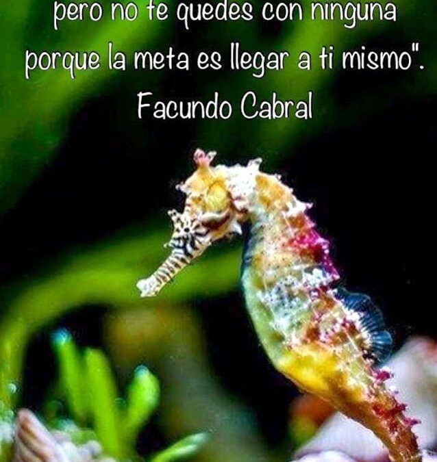 LA META ES LLEGAR A SER TÚ MISMO