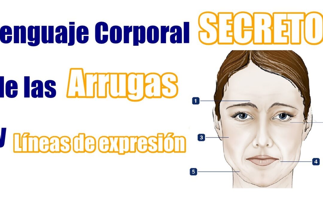 MORFOPSICOLOGÍA: Leer las lineas del rostro