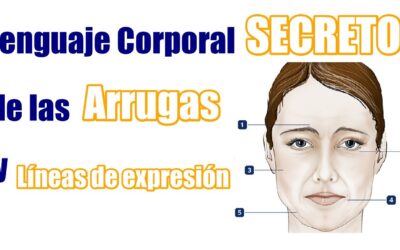 MORFOPSICOLOGÍA: Leer las lineas del rostro