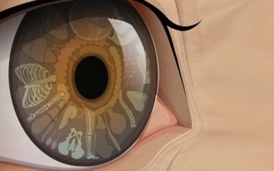 Analisis del caracter segun tu mirada