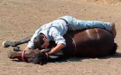 Equinoterapia y estres