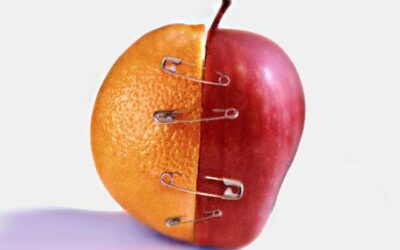 La eterna búsqueda de la media naranja