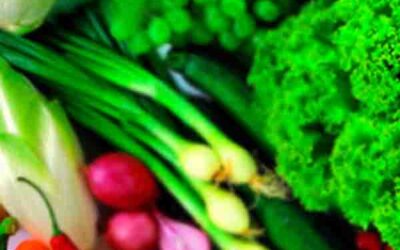 Alimentación emocional TRCD