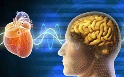 INTRODUCCIÓN A LA COHERENCIA CARDIACA, EL MISTERIO DEL CORAZÓN