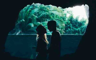 La pareja evolutiva desde un punto de vista emocional