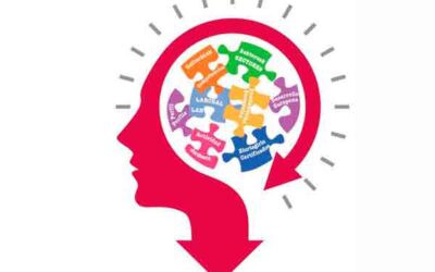 Distintos tipos de inteligencia