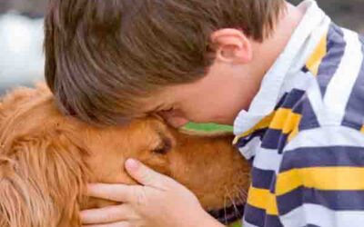 El perro un fiel amigo y un importante apoyo