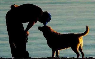 La espiritualidad de los animales