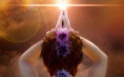 Ejercicio de Prosperidad