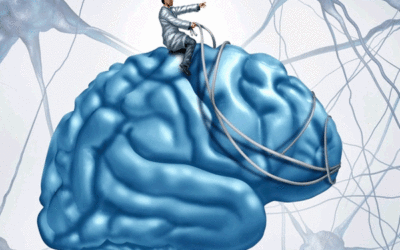 El cerebro y los errores