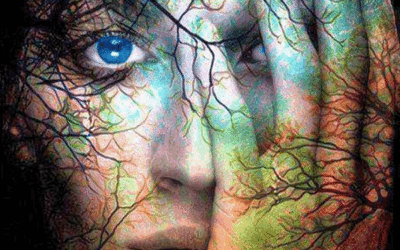 La confusión es la naturaleza de la sabiduría