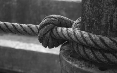 24 FORTALEZAS PARA UN CARACTER RESILIENTE