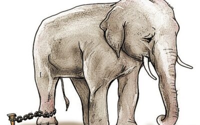 La parábola del elefante encadenado