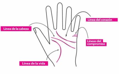 ¿Que hay detrás de cada linea de la mano?