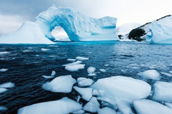 Descubren un tesoro biológico en la Antartida