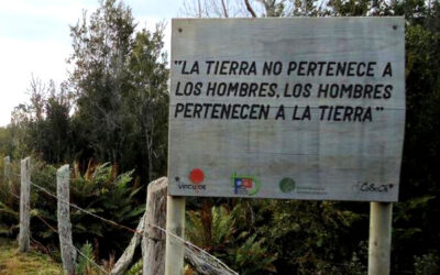 Las nuevas reglas para la Tierra