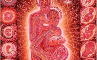 EN EL CUERPO VAMOS CARGANDO A NUESTRA FAMILIA