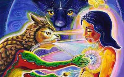 LA MEDICINA DE LA TIERRA