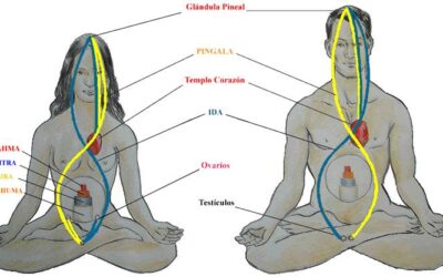 EJERCICIO DE TRANSMUTACIÓN DE ENERGÍA SESUAL