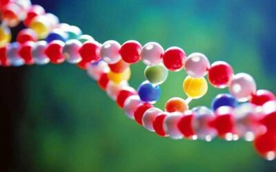 REESTRUCTURAR EL ADN