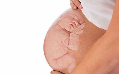 LAS EMOCIONES DE LA MADRE INFLUYEN EN BEBÉ