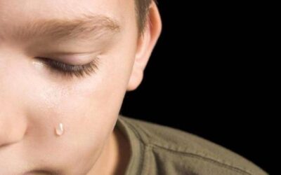 CONSECUENCIAS DE LA DESNUTRICIÓN EMOCIONAL