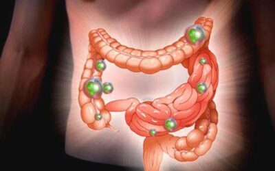 TU FLORA INTESTINAL INFLUYE EN TU CARACTER