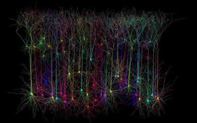 Los pensamientos causan cambios moleculares