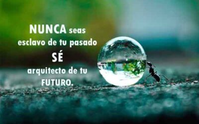 ARQUITECTO DE TU FUTURO