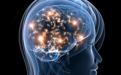 CURIOSIDADES DE TU CEREBRO