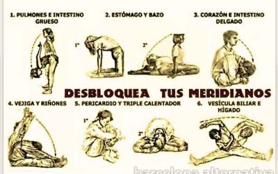 DESBLOQUEO DE LOS PRINCIPALES MERIDIANOS
