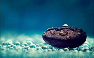 La responsabilidad de ser creadores de realidad