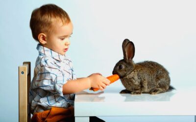 TERAPIA ASISTIDA CON CONEJOS