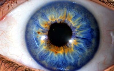 LOS OJOS REFLEJAN COMO ESTAMOS