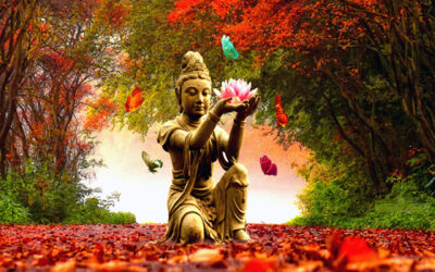 BUDDHO ENERSENSE: SANACIÓN INTEGRAL
