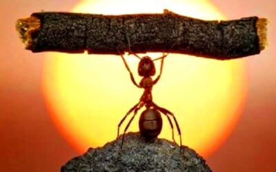 7 TIPS PARA MANTENERTE MOTIVADO