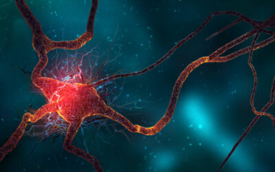 GANA INTELIGENCIA Y REGENERA LAS NEURONAS