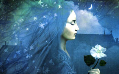 CONOCE LAS 4 PLANTAS QUE ELIMINARÁN TUS MIEDOS