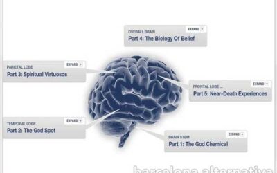 ELABORAN EL PRIMER MAPA DEL CEREBRO MISTICO