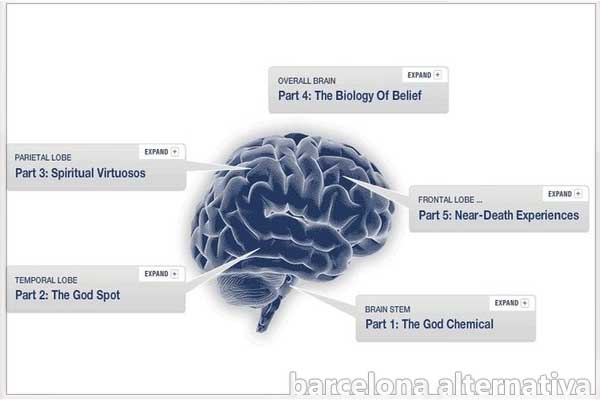 mapa del cerebro místico