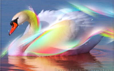 CISNE O PATITO FEO