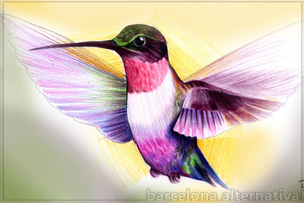 LA LEYENDA DEL COLIBRÍ | Evolución Consciente