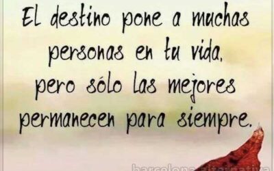 SOLO LOS MEJORES PREVALECEN