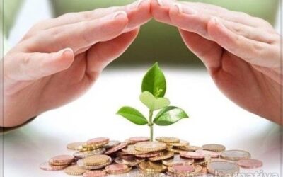 DOS FORMAS DE REPARAR LA VIDA ECONÓMICA DEL ÁRBOL GENEALÓGICO