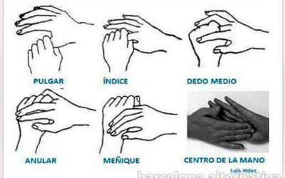 PRÁCTICA DE ARMONIZACIÓN