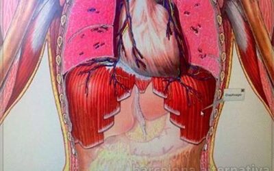 El diafragma y las emociones