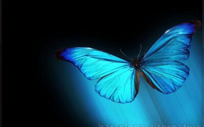 La leyenda de la mariposa azul