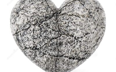 MÉTODO DE PIEDRA GRIS PARA TRATAR A UN PSICOPATA